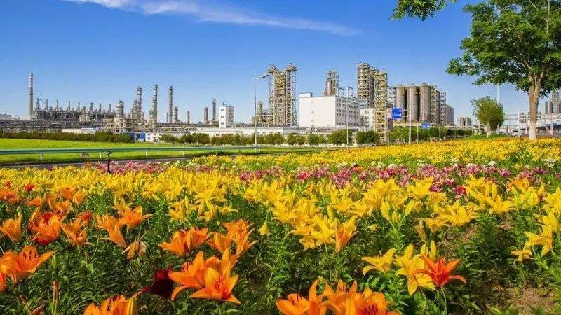 上海水性胶粘剂加盟公司