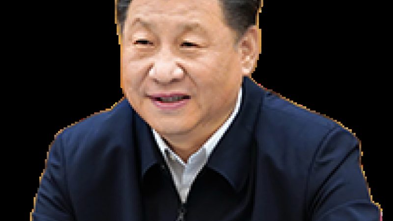 北京木工胶粘剂厂家，正在经历一场从“粘得住”到“粘得对”的转型